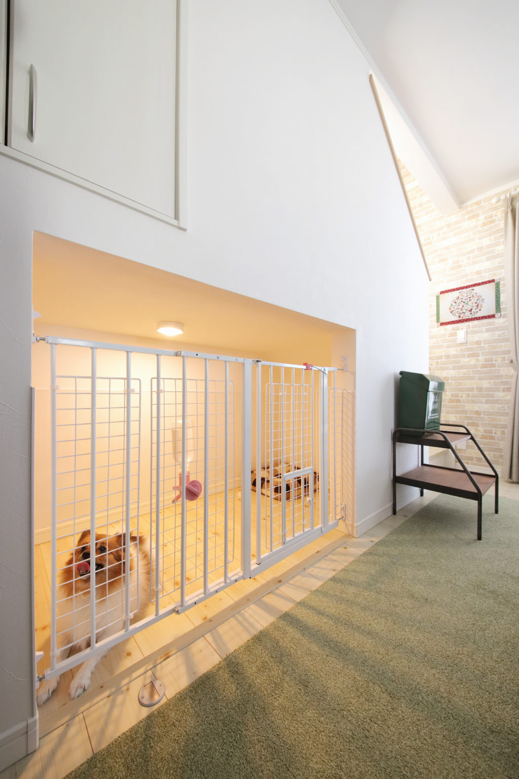 家族も犬も一緒に 気持ちよく暮らせる家 札幌 新築一戸建てcozy